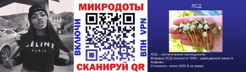 Псилоцибиновые грибы Cubensis  Томмот 